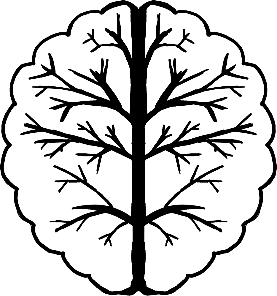 Sound Psyche Logo